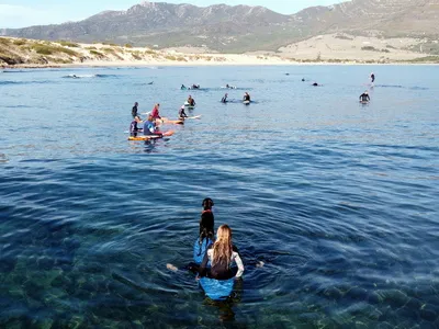 surfing in tarifa