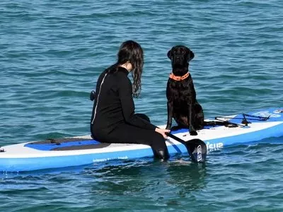 sup kurs tarifa